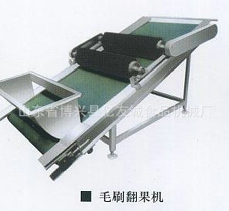 毛刷翻果機.jpg