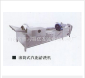 氣泡清洗機與蔬菜清洗機的“一較高下”！